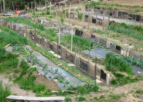 marble terraces